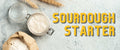 How to Start a Sourdough Starter