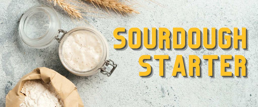 How to Start a Sourdough Starter