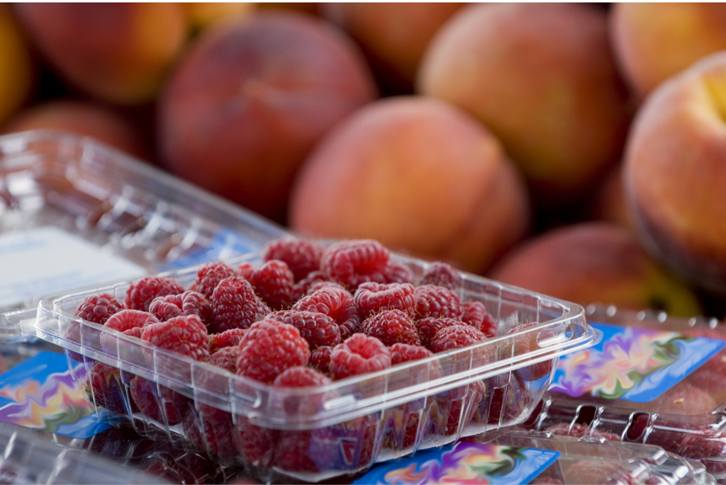 The Plant-Based Cocina – January 6th