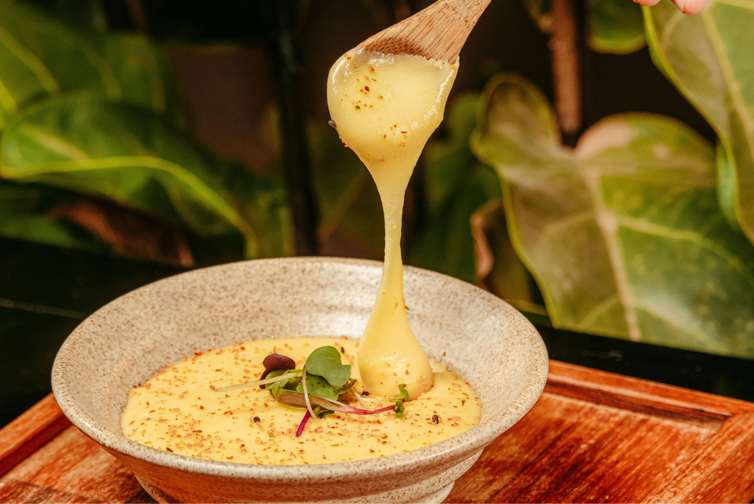 The Plant-Based Cocina – January 6th