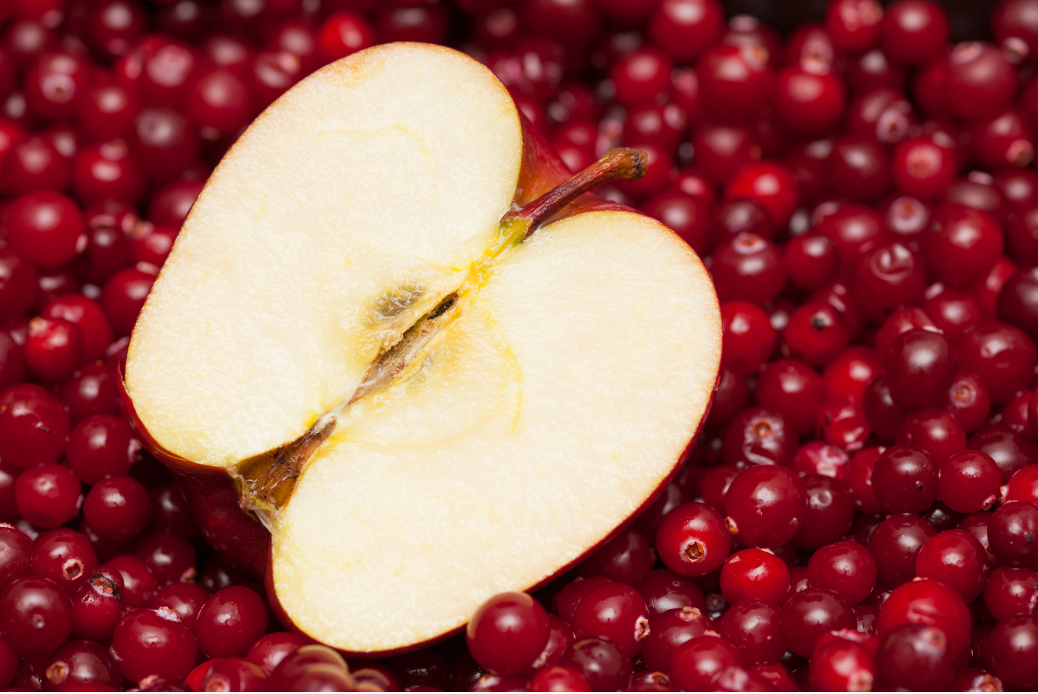 Sweet Treats with Gluten-Free Flours - January 21st