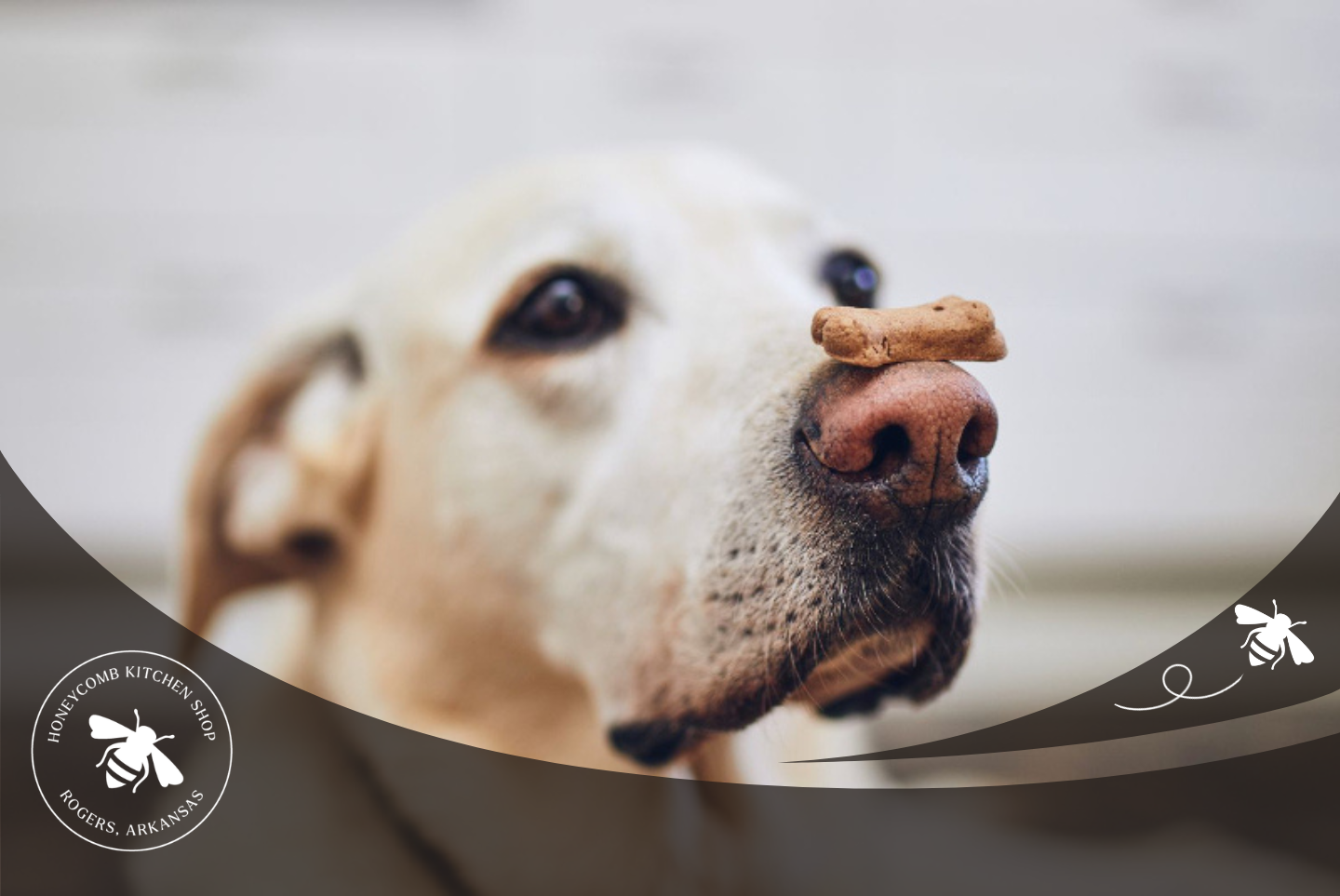 Cooking for a Cause: Big Paws of the Ozarks - August 26th