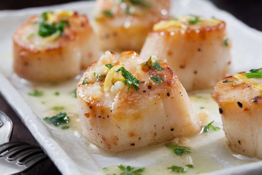Poached & Paired: Sea Scallops and Wine Pairing - November 8th