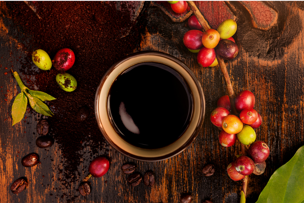 Bean and Berry: Exploring Coffee Cupping and Fruit Pairing - May 31st  POSTPONED