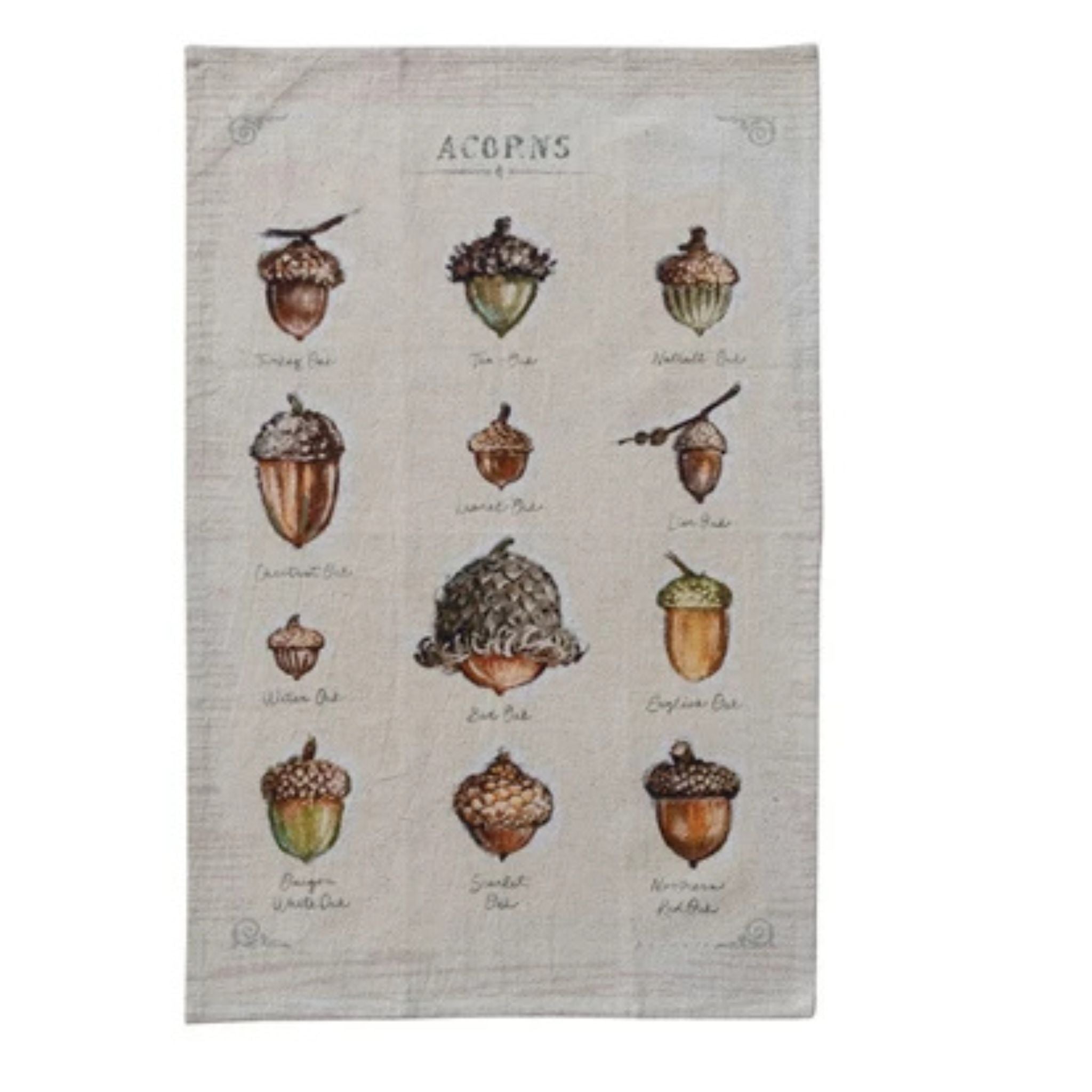 Dishtowel - Fall Themes - Acorn2