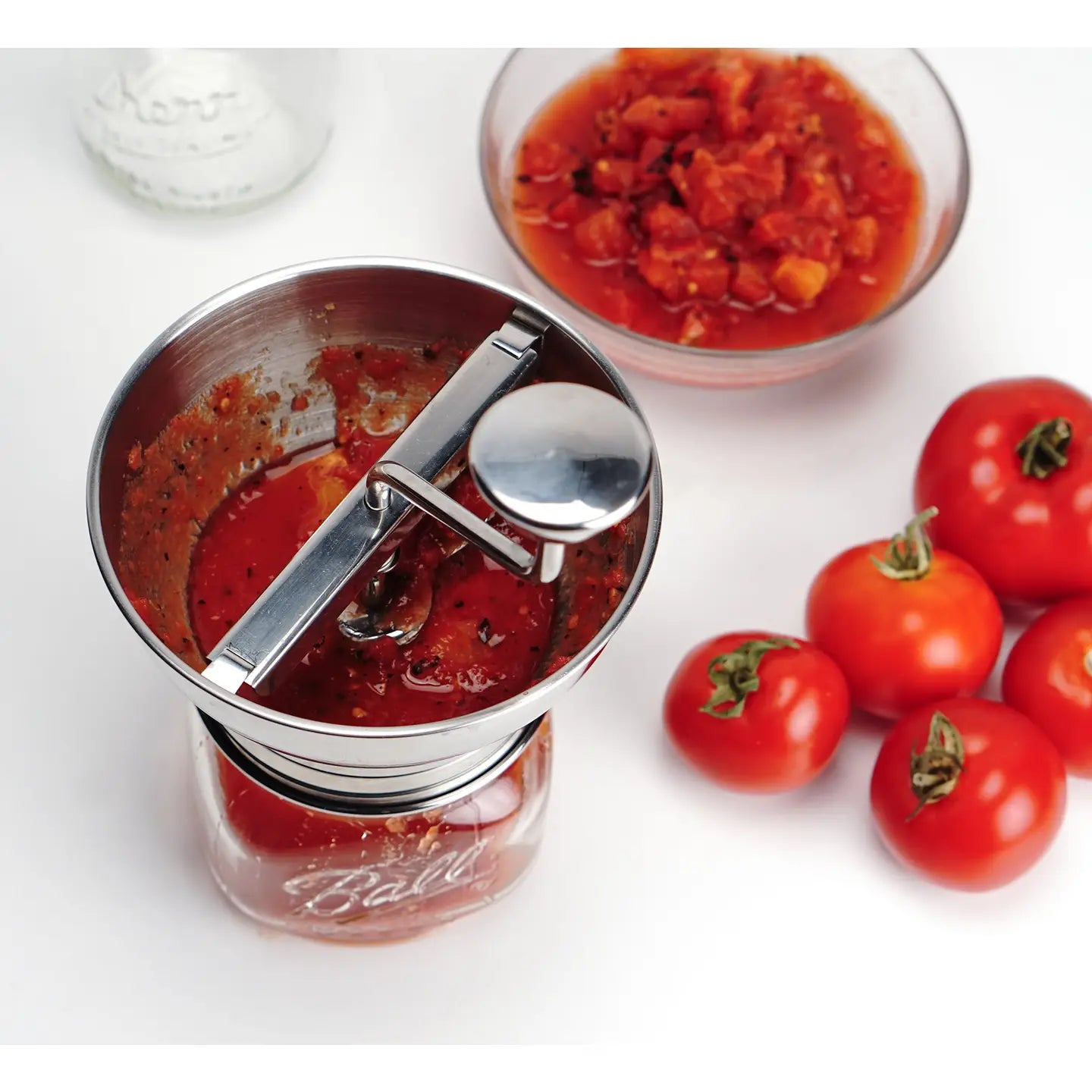 Mini Food Mill