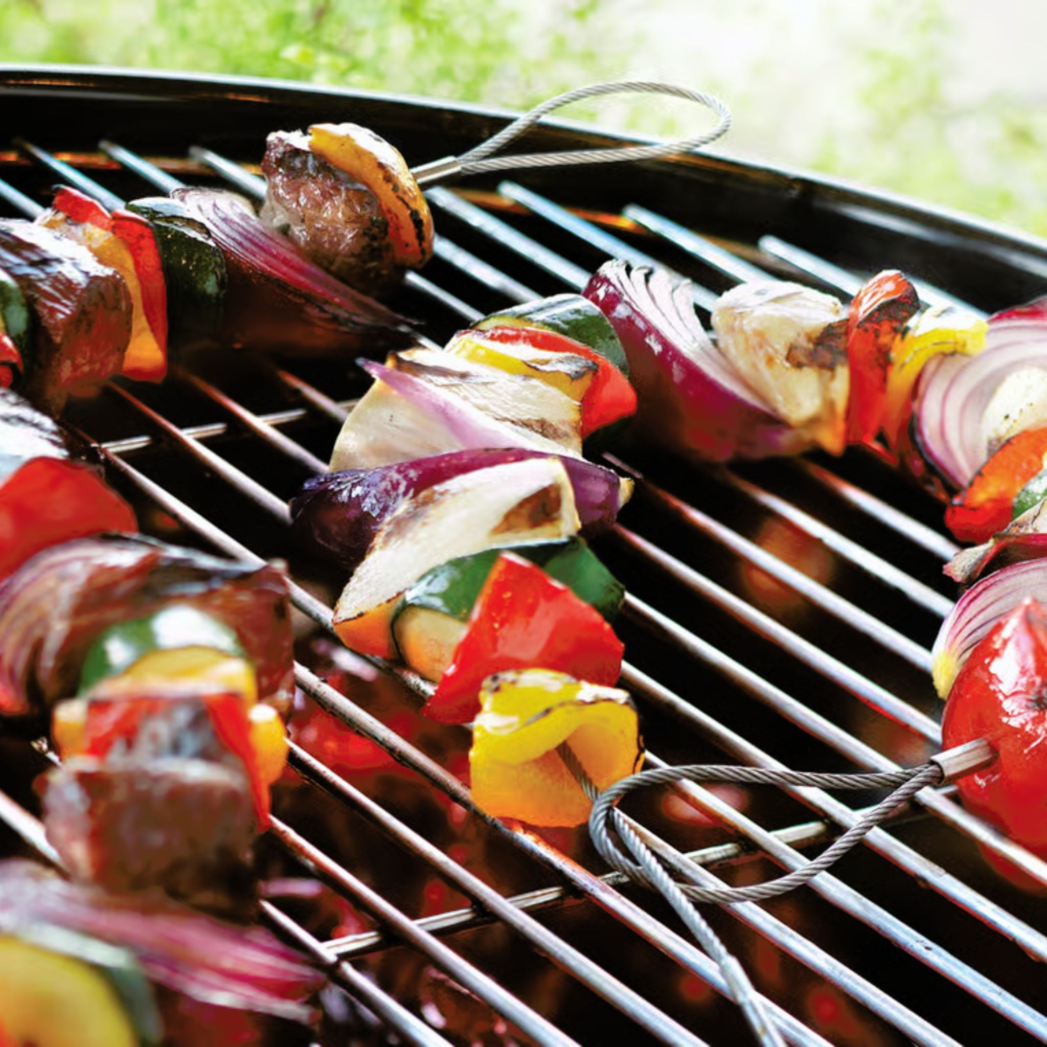 flexible skewers