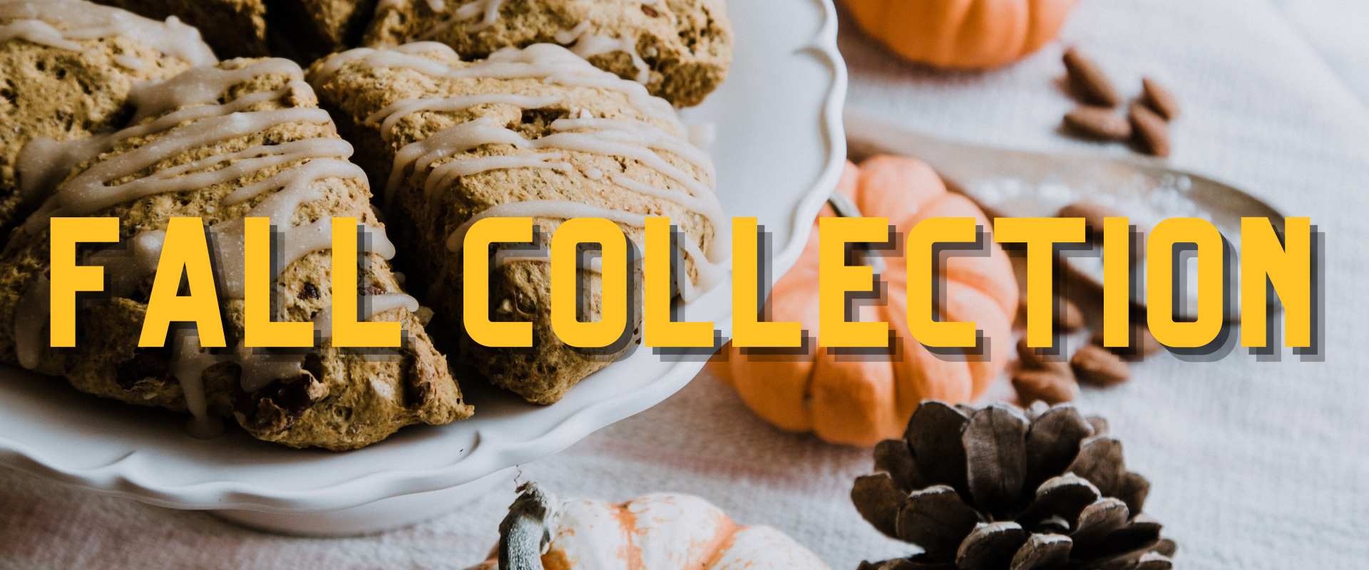 Fall Collection Image Banner