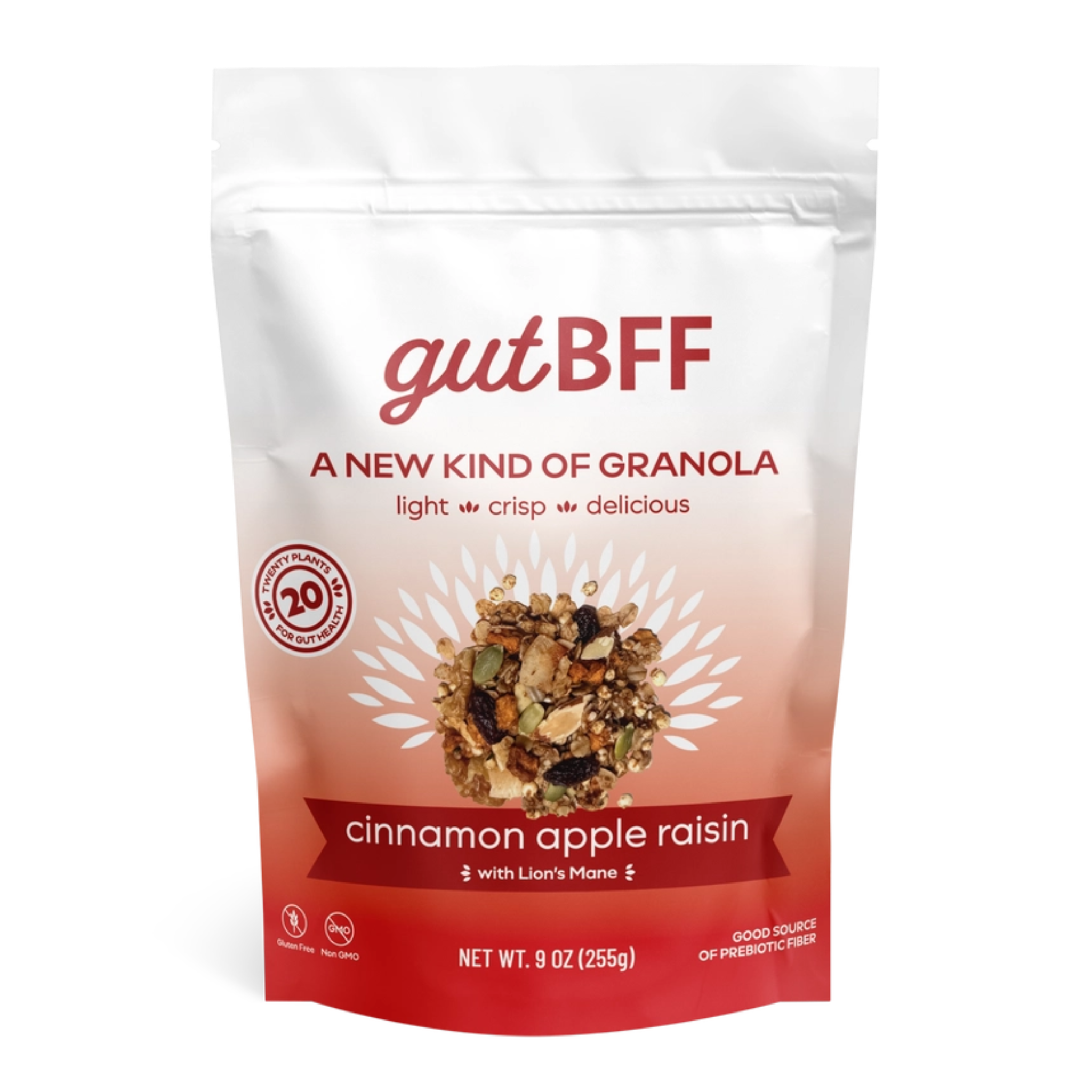 Granola - Cinnamon Apple Raisin