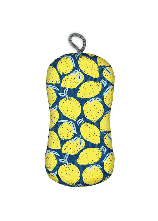 Scrub Sponge