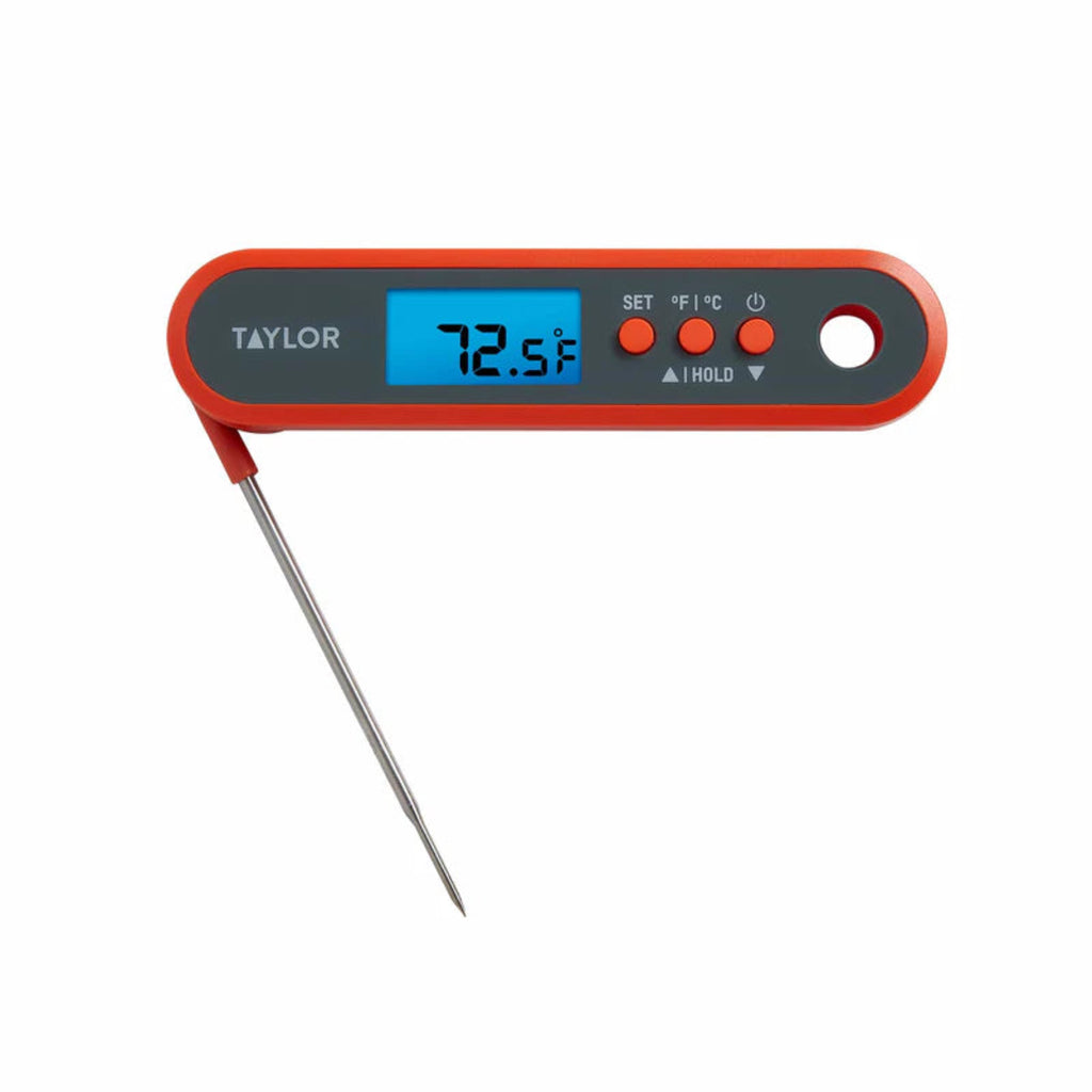 Folding Programmable Probe Thermometer